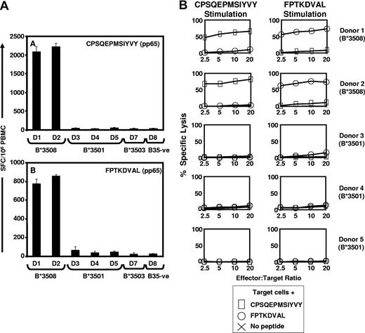 Figure 1. The HCMV-encoded CD8+ T-cell epitopes CPS and FPT are exclusively recognized by HLA B*3508 individuals. (A) Healthy HCMV seropositive donors (shown as D1-D8) who expressed different HLA B35 subtypes were assessed for CPS- and FPT-specific T-cell responses using ELISPOT assays as described in “Methods.” The results are expressed as spot forming cells (SFC) per 106 PBMC. (B) In vitro stimulation of T cells with CPS and FPT epitopes confirmed effector-memory responses exclusively in HLA B*3508 individuals. Polyclonal CTL cultures were generated from 2 HLA-B*3508+ and 3 HLA-B3501+ healthy HCMV-exposed individuals by stimulation with CPS or FPT peptide epitopes. CTLs were tested as effectors at a range of E:T ratios for recognition of autologous phytohemagglutinin (PHA) blast target cells pretreated with the peptide used to stimulate the CTLs or left untreated. The HLA-A/B types of the donors were as follows: donor 1: HLA A2, A2, B*3508, B57; donor 2: HLA A23, A32, B*3508, B49; donor 3: HLA A1, A3, B8, B*3501; donor 4: HLA A11, A32, B*3501, B44, and donor 5: HLA A11, A24, B*3501, B60.