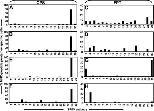 Figure 2. Ex vivo analysis of TRBV usage by CPS- and FPT-specific T cells. PBMCs from healthy virus carriers were co-stained with pMHC pentamers (CPS or FPT) and a panel of TRBV monoclonal antibodies. Data based on fresh PBMCs is presented in panels A and B (for CPS-specific T cells) and panels C and D (for FPT-specific T cells). After in vitro culture these T cells were re-analyzed using pMHC-pentamers and a panel of TRBV monoclonal antibodies. Data for CPS-specific T-cell cultures is presented in panels E and F, while data for FPT-specific T cells is displayed in panels G and H. The results are expressed as percent pMHC-pentamer-specific cells. Data presented in panels A, C, E, and G are from donor 1; data in panel B and D are from donor 2; while data in panels F and H are from donor 6 (HLA A30, A32, B*3508, B42).