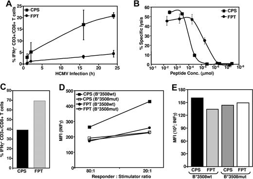 Figure 6. CD8+ T-cell recognition of target cells sensitized with CPS or FPT epitopes using either viral infection or synthetic peptides. (A) MRC-5 cells expressing HLA B*3508 were infected with HCMV at an MOI of 5:1 and then exposed to CPS- or FPT-specific T cells (responder to stimulator ratio of 2:1) at different time intervals (indicated on x-axis). At each time point, T cells were assessed for IFN-γ expression using intracellular cytokine assay. Data presented here is summary of 3 different experiments based on 3 different HLA B*3508+ donors. (B) CTL recognition of HLA B*3508 expressing target cells sensitized with synthetic CPS and FPT peptide epitopes. MRC-5 cells expressing HLA B*3508 were sensitized with serial dilutions of the peptides and then exposed to CPS- or FPT-specific CTL lines. These clonal T cells were derived from donor 1. (C) MRC-5 cells expressing HLA B*3508 were sensitized with synthetic CPS- or FPT-peptide epitopes (1 μg/mL) and then exposed to CPS- or FPT-specific T cells (responder to stimulator ratio of 2:1) for 16 to 18 hours. T cells were assessed for IFN-γ expression using intracellular cytokine assay. Data presented here is a summary of 3 different experiments. (D) HCMV-infected MRC-5 cells expressing either wild-type or mutated (to disallow CD8 co-receptor binding) HLA*B3508 were exposed to CPS- or FPT-specific T cells at 2 different responder-to-stimulator ratios, and IFN-γ expression measured using an intracellular cytokine assay. These data are representative of 3 different experiments and shows mean fluorescence intensity (MFI) of IFN-γ expression in CPS- or FPT-specific T cells. (E) MRC-5 cells expressing HLA B*3508 were pre-sensitized with synthetic peptide epitopes (CPS or FPT) and then exposed to CPS- or FPT-specific T cells (responder to stimulator ratio of 2:1). These T cells were assessed for IFN-γ expression as described above. MFI indicates mean fluorescence intensity.