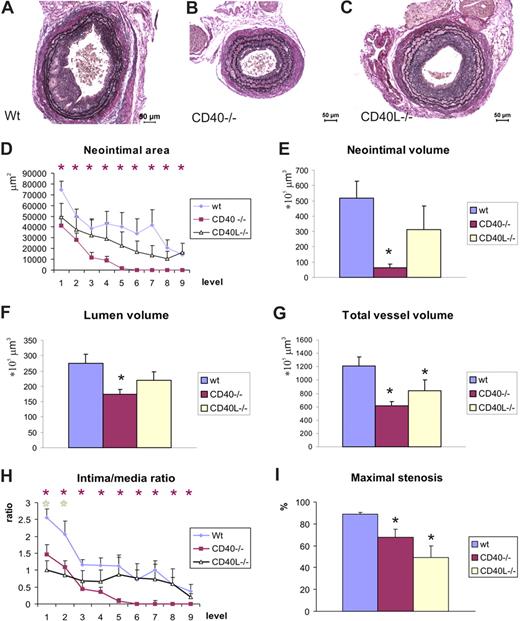 Figure 1. Neointima formation and vascular remodeling in wild-type, CD40−/−, and CD40L−/− mice. Representative cross-sections are shown in panels A-C; n = 10, 11, and 10 mice, respectively. Neointima was measured at individual levels (200-μm intervals) throughout the ligated carotid artery segment (D), and neointimal volume was calculated (E). Furthermore, volumes of lumen (F) and total vessel wall (G) were calculated, as well as intima/media ratios (H) and the maximal stenosis rate (I). *P < .05 compared with wild-type mice. Neointima formation in CD40−/− mice was significantly reduced compared with wild-type mice at all individual levels analyzed throughout the ligated carotid artery.