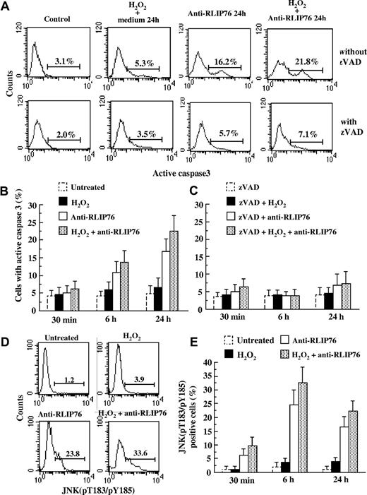Figure 6. Apoptotic pathway induced by anti-RLIP76 C-ter in EAhy926 cell line. (A) Flow cytometric data were obtained in the absence (first row) or in the presence (second row) of 30 μM pan-caspase inhibitor zVAD. The numbers in each panel refer to the percentage of cells containing caspase 3 in its active form. Results obtained in a representative experiment are reported. (B,C) Graphs showing the mean plus or minus SD of the percentages of cells with the active form of caspase 3 obtained from 3 different experiments done without (panel B) or with (panel C) zVAD. Statistical analyses indicate a significant (P < .01) decrease in caspase 3 activity in cells pretreated with zVAD before anti-RLIP76 C-ter antibody exposure. (D) Quantitative flow cytometric analysis investigating the JNK activation state 6 hours after the various treatments with a polyclonal antibody able to identify JNK (pT183/pY185). The numbers in each panel refer to the percentage of cells containing JNK in its active form. Results obtained in a representative experiment are reported. (E) Time-course analysis of the activation state of JNK. Statistical analyses of the results obtained from 3 independent experiments (reported as mean ± SD) indicate a significant difference (P < .01) between cells treated with RLIP76 C-ter antibodies, alone or in combination with H2O2, and both untreated and H2O2-treated cells at any time point considered.