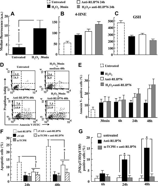 Figure 7. Effects of anti-RLIP76 C-ter antibodies on human microvascular primary cells. (A) Flow cytometric analysis of HMVEC-L cells, either untreated or H2O2-treated cells, after surface staining with antibodies to RLIP76. Mean plus or minus SD of the results obtained from 3 different experiments. *P < .01 by Student t test. (B,C) Quantitative flow cytometric analysis of 4-HNE adducts and GSH intracellular content in: untreated control cells, cells treated with H2O2 for 30 minutes, cells incubated with anti-RLIP76 C-ter antibodies for 24 hours, and cells treated with H2O2 for 30 minutes and then incubated for an additional 24 hours in medium containing anti-RLIP76 C-ter antibodies. Data reported in panels B and C are the mean plus or minus SD of the results obtained from 3 different experiments. Student t test indicated P < .01 for: control untreated cells versus H2O2-treated cells; untreated cells versus cells incubated with anti-RLIP76 C-ter antibodies for 24 hours; and untreated cells versus H2O2-treated cells incubated for 24 hours with medium containing anti-RLIP76 C-ter antibodies. (D) Dot plots from a representative experiment performed 48 hours after different treatments. Numbers represent the percentage of annexin V single positive (early apoptosis, bottom right quadrant) or annexin V/PI double positive cells (late apoptosis, bottom right quadrant). (E) Flow cytometric analysis of apoptosis after double staining with annexin V/propidium iodide of untreated control cells; cells treated with H2O2 and then incubated at different time points with fresh medium or with medium containing anti-RLIP76 C-ter antibodies. Cells were also treated for the same times with anti-RLIP76 C-ter antibodies given alone. Results obtained from 3 independent experiments are reported as mean plus or minus SD. Student t test indicated P < .01 for: control untreated cells versus cells incubated for 24 and 48 hours with anti-RLIP76 C-ter antibodies, and cells treated with H2O2 and then incubated in fresh medium versus cells treated with H2O2 and then incubated for 24 and 48 hours with medium containing anti-RLIP76 C-ter antibodies. (F) Quantitative flow cytometric analysis of apoptosis in cells treated with anti-RLIP76 C-ter antibodies for 24 and 48 hours pretreated or not with zVAD or α-TCPH as indicated in “Methods.” As control, cells were also treated at the same time points with zVAD or α-TCPH given alone. Results obtained from 3 independent experiments are reported as mean plus or minus SD. (G) Quantitative flow cytometric analysis of the JNK activation state obtained with a polyclonal antibody specific for active form of JNK (pT183/pY185) in cells treated with anti-RLIP76 C-ter antibodies in the presence or absence of α-TCPH. * represents P < .01 by Student t test.