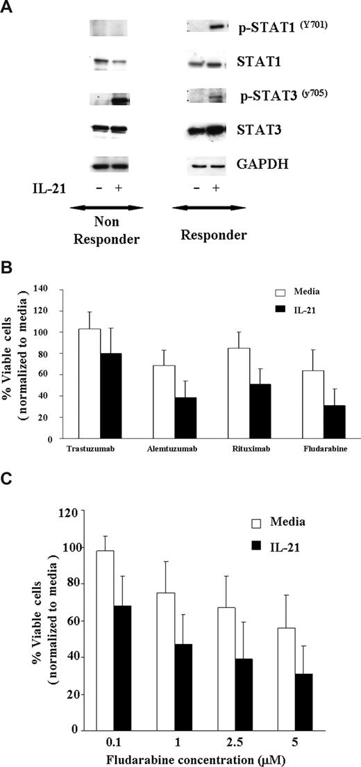 Figure 3. IL-21 treatment of CLL cells enhances direct cytotoxicity mediated by antibodies and fludarabine. (A) IL-21 mediates tyrosine phosphorylation of STAT1Y701 and STAT3Y705 in C19+ B-CLL cells. CD19+ B-CLL cells were stimulated with media or IL-21 (100 ng/mL) for 24 hours. Cells were lysed in appropriate buffers and analyzed by Western blotting using mAb specific for indicated STAT proteins and GAPDH. Shown are the results of a representative responding and nonresponding patient. (B) IL-21 enhances additively antibody and fludarabine-mediated cytotoxicity. CD19+ B-CLL cells were treated with media or IL-21 at 100 ng/mL concentration for 18 hours followed by incubation with cross-linker alone (media), trastuzumab with cross-linker (Trastuzumab), rituximab with cross-linker (Rituximab), alemtuzumab with cross-linker (Alemtuzumab), and fludarabine. At 48 hours, direct cytotoxicity by antibody exposure and fludarabine was analyzed by annexin V/PI staining. Shown here are the results from 7 consecutive experiments. Error bars are SD among samples. (C) IL-21 enhances fludarabine-induced cytotoxicity. Dose kinetics. CD19+ B-CLL cells were treated with IL-21 at 100 ng/mL concentration of IL-21 or media alone for 18 hours, and the pretreated cells were incubated with fludarabine at 0.1, 1, 2.5, and 5 μM concentration. At 48 hours, direct cytotoxicity by fludarabine was analyzed by annexin V/PI staining. Shown here are the results from 7 consecutive experiments. Error bars are SD between samples.