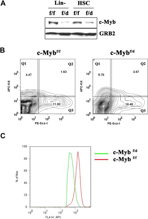 Figure 1. Loss of a c-Myb allele does not affect the frequency of hematopoietic progenitors. (A) Western blot analysis of c-Myb expression in enriched Lin− and Lin−Sca-1+Kit+ cells from c-Mybf/f and c-Mybf/d mice. GRB2 expression served as a control. (B) Frequency of Lin−Kit+, Lin−Sca-1+, and Lin−Sca-1+Kit+ cells (Q1, Q3, and Q2) in enriched Lin− cells of c-Mybf/f and c-Mybf/d mice, assessed by use of PE-conjugated anti–Sca-1 and APC-conjugated anti–c-Kit antibodies on enriched Lin− marrow cells. (C) Flow cytometric analysis of c-Kit expression in Lin−Sca-1+Kit+ cells from c-Mybf/f and c-Mybf/d mice. Representative of 3 experiments.