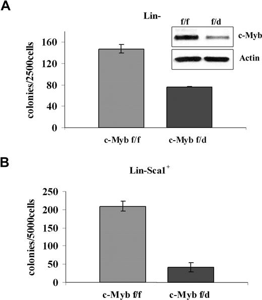 Figure 4. Low levels of c-Myb reduce colony formation of p210BCR/ABL-transduced marrow progenitors. (A) Methylcellulose colony formation of p210BCR/ABL-transduced purified Lin− cells (2.5 × 103/plate) in the presence of optimal cytokine concentrations from c-Mybf/f or c-Mybf/d mice. This assay was performed once in duplicate plates. Inset shows c-Myb levels detected by Western blotting. (B) Methylcellulose colony formation of p210BCR/ABL-transduced Lin−Sca-1+ cells (5 × 103cells/plate) isolated from c-Mybf/f or c-Mybf/d mice, in the presence of optimal cytokine concentrations. Values (P ≤ .001) are representative of 3 different experiments performed in duplicate.