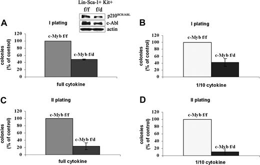 Figure 5. Colony formation of p210BCR/ABL-transduced c-Mybf/d HSCs. Lin−Sca-1+Kit+ cells from c-Mybf/f or c-Mybf/d mice were transduced with the MigRI-p210BCR/ABL retrovirus, GFP sorted, assessed for p210BCR/ABL levels, and plated in methylcellulose (2.5 × 103 cells/plate) in the presence of an optimal cytokine concentration (A) or 1/10th of the full cytokine doses (B). In panel A, inset shows p210BCR/ABL levels detected by anti–c-Abl Western blotting. Colonies were scored after 7 days. Values (P ≤ .001) are expressed as the percentage of the number of colonies derived from c-Mybf/f HSCs. Secondary colony formation assays were performed using cells isolated from methylcellulose. Cells were replated onto new plates in the presence of an optimal cytokine concentration (C) or 1/10th of the cytokines (D) and scored again after 7 days. Values (P ≤ .001) are expressed as the percentage of the number of colonies derived from c-Mybf/f HSCs. Representative of 3 different experiments.