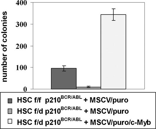 Figure 6. Restoration of c-Myb expression rescues colony formation of c-Mybf/d p210BCR/ABL-transduced marrow progenitors. c-Mybf/d and c-Mybf/f Lin−Sca-1+Kit+ cells were transduced with the MigRI/p210BCR/ABL retrovirus and 24 hours after retroviral transduction sorted for GFP positivity. p210BCR/ABL-expressing c-Mybf/d Lin−Sca-1+Kit+ cells were subsequently transduced with a c-Myb/MSCV/puro retrovirus or the empty MSCV/puro vector as a negative control. p210BCR/ABL-expressing c-Mybf/f Lin−Sca-1+Kit+ cells were transduced with empty vector MSCV/puro as a positive control. After 24 hours, cells (8 × 104/plate) were plated in methylcellulose in the presence of puromycin (1 μg/mL). Colony formation was assessed 9 days later. Representative of 3 different experiments. P ≤ .001.