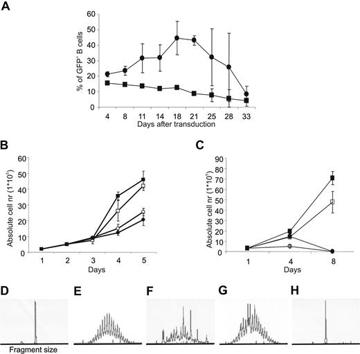 Figure 3. STAT5, but not STAT3, induces proliferation in human B cells. (A) Total tonsil CD19+ B cells were transduced with LZRS-control-IRES-GFP (■) or LZRS-STAT3ER-IRES-GFP (●) and cultured on CD40L-L cells with IL-2 and IL-4 in the presence of tamoxifen (1 μM). The percentage of GFP-positive cells was determined continuously throughout the culture period. Data represent means (± SD) of 2 independent experiments. (B) Absolute numbers in time of CA-STAT5b+ tonsil B cells cultured in the presence or absence of CD40L-expressing L cells with or without IL-2 and IL-4. ■ represent plus CD40L plus cytokines; □, plus CD40L minus cytokines; ●, minus CD40L plus cytokines; and ○, minus CD40L minus cytokines. Data represent means (± SD) of 3 independent experiments. Identical results were obtained with 8 different donors. (C) Absolute numbers in time of CA-STAT5b+ PB B cells cultured in the presence or absence of CD40L-expressing L cells and with or without IL-2 and IL-4 as indicated in panel B. Data represent means (± SD) of 4 independent experiments. Genescan analysis for VH FR3-JH region. (D) L428: positive control for monoclonality. (E) Tonsil B cells: positive control for polyclonality. (F) CA-STAT5b+ tonsil B cells cultured on CD40L-expressing L cells. (G) CA-STAT5b+ PB B cells cultured on CD40L-expressing L cells. (H) CA-STAT5b+ tonsil B cells cultured without CD40L-expressing L cells. Analysis of the VH FR1-JH and VH FR2-JH region gave identical results. Similar results were obtained with 4 other tonsil CA-STAT5b+ B-cell lines and 2 other PB CA-STAT5b+ B-cell lines.