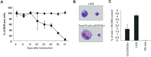 Figure 4. Ectopic expression of CA-STAT5b leads to BCR multinucleated cells. (A) Surface BCR expression on CA-STAT5b–transduced (■) or control-transduced (●) PB B cells was determined in time by flow cytometric analysis of surface of kappa and lambda light chain expression. Cells were cultured on CD40L plus IL-2 and IL-4. Data represent means (± SD) of 3 independent experiments. Identical results were obtained with 12 different donors. Similar results were obtained with tonsil (n = 6). (B) Cytospins of CA-STAT5b+ tonsil B cells and L428 were prepared, and images in Figure 4B were visualized and captured on an Olympus BX51 light microscope with a 100×/1.3 oil objective. Giemsa staining was performed to visualize the nuclei of the cells at a total magnification of 1000×. The presence of mononucleated and multinucleated cells strongly resembled the Hodgkin and Reed-Sternberg cells, respectively (n = 6). (C) To enumerate the percentage of cells with multiple nuclei, DNA content was measured using propidium iodide staining and flow cytometric analysis. Single cells were gated and cells with more than 4N DNA were considered to be cells with multiple nuclei. Data represent means (± SD) of 3 CA-STAT5b+ tonsil B-cell lines in comparison with L428 and freshly isolated PB B cells.