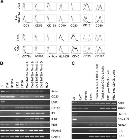 Figure 5. Comparison of CA-STAT5b+ B cells and HL cell lines. (A) Flow cytometric analysis of L428 and CA-STAT5b+ tonsil B cells. Thin lines are matched isotype controls. Data are from 1 representative experiment of 5 originated from different donors. (B,C) Comparison of expression of a number of genes in CA-STAT5b+ B cells and HL cell lines. The EBV-transformed B-cell line JY, the GC-type diffuse large B-cell lymphoma cell line LY-7, and the Burkitt lymphoma cell line Ramos served as negative controls, and 2 HL cell lines L428 and L1236 served as positive controls. (B) Four different CA-STAT5b+ tonsil B-cell lines cultured with CD40L-expressing L cells were analyzed. (C) PB and tonsillar B cells transduced with CA-STAT5b were cultured with or without CD40L-expressing L cells and analyzed for EBV- and HL-specific gene expression.