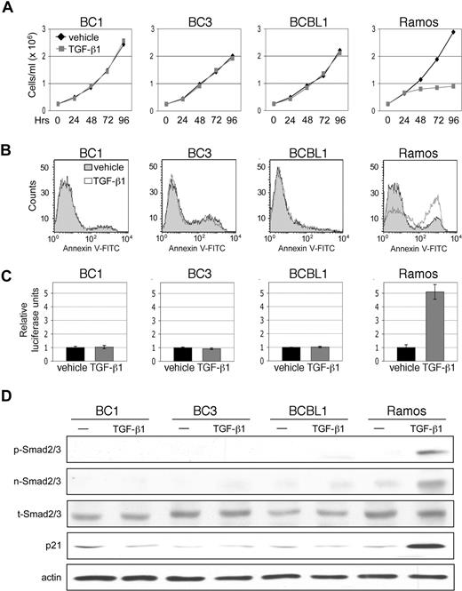 Figure 1. TGF-β signaling is defective in PEL. (A) Cell growth of PEL cell lines, BC1, BC3, and BCBL1, and TGF-β-sensitive, Burkitt lymphoma cell line, Ramos, over 4 days of treatment with TGF-β1. (B) Flow cytometric analysis of apoptosis 48 hours after TGF-β1 treatment. (C) TGF-β reporter, p3TP-Lux, activity in response to treatment with TGF-β1. Error bars represent SD. (D) Western blot detection of Smad2/3 phosphorylation (p-Smad2/3), Smad2/3 nuclear accumulation (n-Smad2/3), total Smad 2/3 (t-Smad2/3), and p21 expression on TGF-β1 treatment.