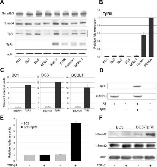 Figure 2. Lack of TβRII expression is responsible for the TGF-β signaling defect in PEL. (A) Levels of TGF-β pathway components compared among PEL cells (BC1, BC3, BC5, BCBL-1) and other B-cell lymphoma cell lines (Ramos, BJAB, Namalwa, BCKN1) that express relatively normal levels of these components. (B) TβRII expression measured by real-time PCR. (C) TGF-β-responsive reporter activity on transfection of TβRII. (D) RT-PCR analysis of TβRII expression in BC3 cells transduced with pHR-Sin-CSGW-TβRII. (E) TGF-β–driven reporter activity and (F) Smad2 phosphorylation in TβRII-transduced BC3 cells. Error bars represent SD.