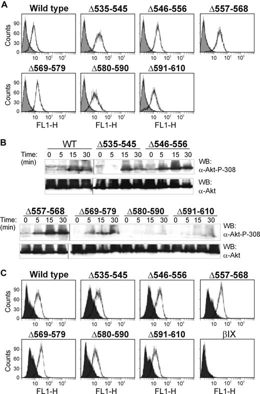 Figure 2. VWF/ristocetin activates PI3-kinase in GPIbα-expressing cells. (A) Flow cytometry for the surface expression of GPIbα on CHO cells expressing either wild-type GPIbα or GPIbα deletion mutants using the anti-GPIbα monoclonal antibody, WM23, and a FITC-labeled secondary antibody.26 The solid histogram is the secondary antibody alone. (B) CHO cells expressing either wild-type GPIbα or mutant GPIbα were incubated with VWF/ristocetin for the indicated times. Cells were then lysed, blotted with either anti-Akt or anti–phospho-Ser308 Akt antibodies, and visualized as described in “Methods.” The results are representative of 3 separate experiments. Vertical lines indicate repositioned lanes from the same experiment and Western blot. (C) Binding of FITC-labeled VWF (10 μg/mL, final concentration) in the absence (solid histogram) or presence (open histogram) of ristocetin (1 mg/mL, final concentration) to CHO cells expressing wild-type GPIbα or GPIbα containing deletion mutations. CHOβIX cells (βIX) lacking GPIbα were used as a negative control.