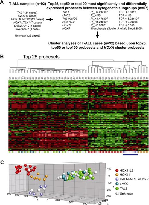 Figure 1. Gene expression profiles of 92 T-ALL patients. (A) Differentially expressed genes among the major molecular cytogenetic T-ALL subgroups (TAL1, LMO2, HOXA, HOX11/TLX1, and HOX11L2/TLX3; n = 67). The significance level (Wilcoxon P value) and FDR corrected P value for the top 100 genes in each T-ALL subgroup is indicated. TAL1, HOX11, and HOX11L2 subgroups show significant differentially expressedprobesets. (B) Cluster analysis of 92 patients with T-ALL (67 with known, 25 with unknown) based upon the top 25 most significant probesets for the TAL1, TAL1/LMO2, HOX11, and HOX11L2 subgroups combined with 15 HOXA probesets as previously described.8 (C) Principal component analyses shows clustering of the patients with unknown T-ALL along the molecular cytogenetic known patients: 1 HOX11L2-like, 19 TAL1/LMO2-like, and 5 HOXA-like patients.