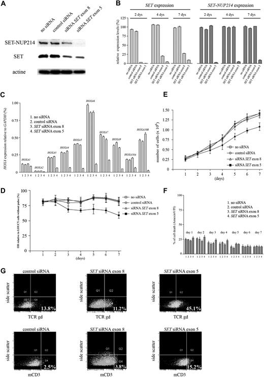 Figure 5. siRNA knockdown of SET and SET-NUP214 in the LOUCY T-ALL cell line. (A) SET expression using Western blot analysis 4 days after electroporation with the following conditions: no siRNA, control siRNA, siRNA SET exon 8, or siRNA SET exon 5. (B) Relative SET and SET-NUP214 expression by RQ-PCR after 2, 4, and 7 days for conditions as mentioned in panel A. (C) Relative expression of all members of the HOXA clusters by RQ-PCR (except for HOXA11 and HOXA13) after 4 days for conditions as mentioned in panel A. (D) Optical density (OD) values relative to control cells without pulse after 7 days for conditions as mentioned in panel A. (E) Total cell numbers after 7 days for conditions as mentioned in panel A. (F) Percentage of cell death relative to control cells without pulse after 7 days for conditions as mentioned in panel A. Error bars visualize the standard error of the mean (SEM). (G) FACS analysis 6 days after electroporation with either no siRNA, siRNA SET exon 8, or siRNA SET exon 5 for TCRγδ and membrane CD3. The percentage of cells positive for TCRγδ or mCD3 expression are visualized in quadrant 4.