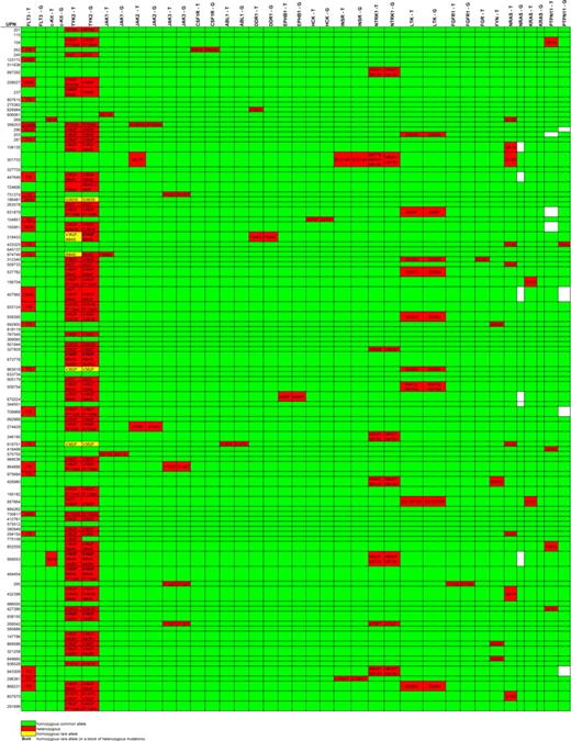 Figure 2. Nonsynonymous base changes identified by exonic resequencing of DNAs from 94 AML patients. Unique patient numbers (UPNs) are shown in the rows, and the names of sequenced genes are shown in the columns. T indicates tumor (sequence variants in the AML tumor sample); G, germline (sequence variants in the “germline” (skin) sample from the same patient). Green indicates that no nonsynonymous sequence variants were identified in that sample; red identifies samples with nonsynonymous variants; the predicted consequences of all sequence variants detected are listed; yellow indicates the presence of a homozygous sequence variant; white boxes indicate that no sequence was obtained. All somatic mutations were confirmed by automated resequencing and/or hand validation. No nonsynonymous sequence variants were detected in FES, LYN, YES1, BTK, PTK2B, IGF1R, SYK, RYK, or CSK (data not shown). Mutations found in FLP3, KIT, N-RAS, KRAS, and PTPN11 are exactly the same as described previously.20 The nonsynonymous sequence variants shown for FGR (D230V) and FYN (D502E) are known to be SNPs and therefore were not sequenced in the skin samples.