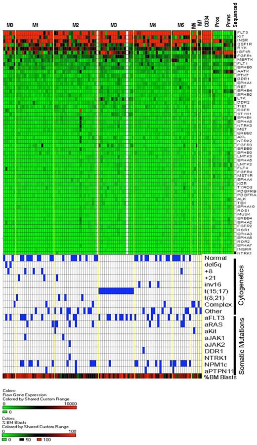 Figure 6. Heat map of receptor tyrosine kinase gene expression in AML and normal myeloid development. The same expression arrays were used to plot data for the RTK genes, using the same approach outlined in Figure 5. The bottom half of the figure is identical to that of Figure 5 and is shown to allow for direct comparisons of the data within samples.