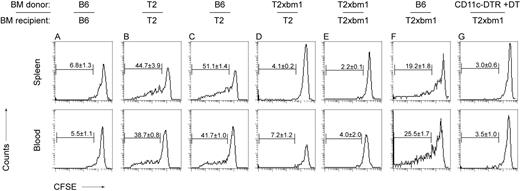 Figure 5. In vivo proliferation of Bg1 CD8+ T cells in BM chimeric mice. A total of 1.5 × 107 CFSE-labeled splenocytes (corresponding to 3 × 106 CD8+ TCR-transgenic T cells) expressing the congenic marker Thy1.1 were adoptively transferred into the indicated Thy1.2+ bone marrow chimeras. (A) C57BL/6→C57BL/6 (B6 → B6). (B) Tie2-LacZ → Tie2LacZ (T2 → T2). (C) C57BL/6 → Tie2-LacZ (B6 → T2). (D) Tie2-LacZ × B6.C-H2bm1 → Tie2-LacZ (T2 × bm1 → T2). (E) Tie2-LacZ × B6.C-H2bm1 → Tie2-LacZ × B6.C-H2bm1 (T2 × bm1 → T2 × bm1). (F) C57BL/6 → Tie2-LacZ × B6.C-H2bm1 (B6 → T2 × bm1). (G) CD11c DTR → Tie2-LacZ × B6.C-H2bm1 (CD11cDTR → T2 × bm1). CD11c-DTR BM recipients had been injected intraperitoneally with 4 ng/g body weight diphteria toxin (DT), which led to a 95% to 98% depletion of CD11c+ cells for more than 48 hours. Mice were killed on day 4 following adoptive transfer and cells from blood and spleens were analyzed by flow cytometry. Values in the histograms represent mean percentages (± SEM, n = 5-7; pooled data from 3 independent experiments) of proliferating CD8+Thy1.1+ cells.