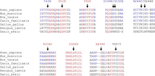 Figure 2. Amino acid alignment of SMPD3 from various species surrounding SMPD3 mutations. The SMPD3 amino acid sequence from mammals (Homo sapiens, Mus musculus, Bos taurus, and Canis familiaris) and other vertebrate animals (Gallus gallus, Xenopus laevis, and Danio rerio) are aligned using MultAlin software (http://bioinfo.genopole-toulouse.prd.fr/multalin/multalin.html). Blue and red letters indicate amino acids that are conserved within mammals and vertebrates, respectively.
