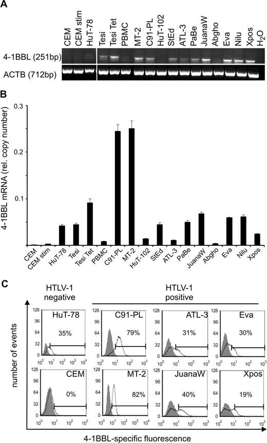 Figure 6. Presence of the 4-1BB ligand (4-1BBL) in HTLV-1/Tax-positive cells. (A) Transcripts of 4-1BBL and β-actin (ACTB) were detected by RT-PCR. Vertical lines have been inserted to indicate a repositioned gel lane. (B) Transcripts of 4-1BBL were quantified by real-time RT-PCR. Relative copy number was determined by normalizing the 4-1BBL transcripts to those of β-actin. The means of 3 independent experiments plus or minus standard error are shown. (C) Surface expression of 4-1BBL was analyzed in HTLV-1–positive cell lines and in uninfected controls (HuT-78 and CEM). Extracellular 4-1BBL was stained with specific antibodies (black curves) and analyzed by flow cytometry; gray curves represent an unspecific isotype-matched control antibody. One representative experiment of at least 3 is shown.