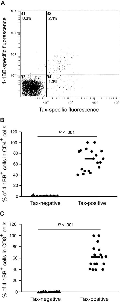 Figure 7. Association of Tax and 4-1BB expression on CD4+ and CD8+ lymphocytes from HTLV-1–infected patients. (A) PBMCs were cultivated in the presence of concanamycin A for 18 hours. Subsequently, they were stained for CD4, Tax, and 4-1BB and analyzed by flow cytometry. Cells were gated on the CD4+ T-cell population. One representative dot plot is shown. (B) Expression of 4-1BB in the Tax-positive (•) and Tax-negative (▴) CD4+ T cells was compared using a 2-tailed Mann-Whitney test. PBMCs from 19 subjects were analyzed by flow cytometry as exemplified in panel A. Horizontal bars indicate the median. (C) Expression of 4-1BB in the Tax-positive (•) and Tax-negative (▴) CD8+ T cells from 17 subjects was compared in analogy to panel B. Horizontal bars indicate the median.