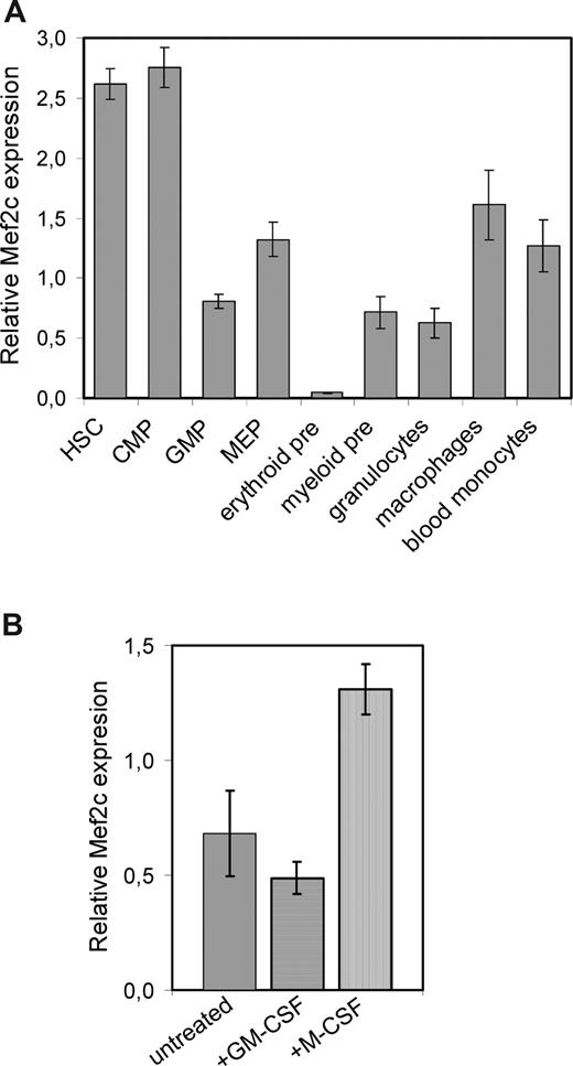Figure 2. Mef2c expression pattern during myeloid differentiation. (A) Quantitative RT-PCR was performed on cells isolated by FACS analysis from BM from B6 mice to determine Mef2c expression levels. RNA levels were normalized by comparing Hprt levels. Mef2c levels relative to that found in cells isolated from heart are shown. Shown is the mean and standard deviation of 2 assays each performed in duplicate. The following surface markers were used to isolate the indicated populations: HSC (cKit+Sca1+Lin−), CMP (Lin−Kit−Sca1−CD34+CD16/32−), GMP (Lin−Kit−Sca1−CD34+CD16/32+), MEP (Lin−Kit−Sca1−CD34−CD16/32−), erythroid precursors (TER119+), myeloid precursors (CD11b+), granulocytes (CD11b+Gr1hi), and macrophages (CD11b+F4/80+). Mature monocyte (CD11b+Gr1−) cells were isolated from blood. Cytospins were microscopically examined to verify more than 90% purity of the different cell types. For early progenitors, the differentiation status was confirmed by analysis of RNA transcripts for different transcription factors. (B) The level of Mef2c transcripts in committed myeloid progenitors (CD11b+) in BM was analyzed after GM-CSF or M-CSF stimulation by quantitative RT-PCR.