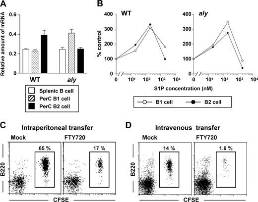 Figure 2. Similar expression of S1P1 and biologic reactivity to S1P among various populations of aly peritoneal B cells. (A) Quantitative RT-PCR analysis for S1P1 expression was performed using RNA isolated from sorted splenic B (□), and peritoneal B1 () and B2 (■) cells. The relative quantity of specific mRNA encoding S1P1 was expressed as a ratio to GAPDH. Data are expressed as the mean plus or minus SD of 4 mice. (B) In vitro migration assay was performed with peritoneal B1 (○) and B2 (•) B cells purified from WT (left) and aly (right) mice. Peritoneal B cells were added to the upper chamber of a transwell plate in the presence of 0, 20, 200, or 2000 nM S1P in the lower chamber. Six hours later, the number of cells that had migrated into the lower chamber were counted. Data are representative of 3 independent experiments. (C,D) CFSE-labeled aly peritoneal B cells were adoptively transferred into SCID mice by the intraperitoneal (C) or intravenous (D) routes: reconstituted SCID mice were treated simultaneously with (right panels) or without (left panels) FTY720. After 12 hours, cells were isolated from the peritoneal cavity for the analysis of CFSE+ B220+ cells. Data are representative of 4 independent experiments.