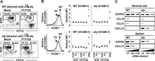 Figure 5. Requirement of NIK-mediated signaling in stromal cells for the emigration of peritoneal B cells. (A) aly mice were intraperitoneally (i.p.) transferred with WT (top panels) or aly (bottom panels) stromal cells. Two weeks after cell transfer, mice were treated with FTY720 for the analysis of peritoneal B-cell populations. Flow cytometric data are representative of 3 independent experiments and are presented as means plus or minus SEM (n = 3). (B) Expression of ICAM-1 (top panels) and VCAM-1 (bottom panels) on WT (thin lines) and aly (thick lines) stromal cells was determined by flow cytometry (left). Twenty-four hours after treatment of stromal cells with various concentrations of S1P, FTY720, or IFNγ (50 units/mL), expression of ICAM-1 and VCAM-1 was determined by flow cytometry. Relative mean fluorescence intensity (MFI) was expressed as a ratio to MFI of untreated cells. Data are representative of 2 independent experiments, and bars indicate mean values. (C) Expression of chemokines (CCL19, CCL21, and CXCL13) in stromal and spleen cells was examined by RT-PCR. Data are representative of 3 independent experiments.