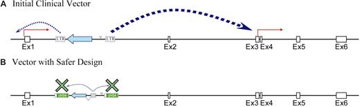 Figure 4. Design of safer retroviral vectors. (A) A strategy has been developed for recreating an insertion in the LMO2 gene that occurred in one of the patients who developed leukemia in the X-SCID trial.79 The experimental system is a human lymphoid cell line (Jurkat) in which the LMO2 gene is not expressed.100 When a conventional oncoretroviral vector having 2 intact long-terminal repeats (LTRs) is present in the intron of LMO2, its 2 promoters are strongly activated, leading to accumulation of LMO2 mRNA and protein. (B) Modification of the vector design to use an internal cellular promoter results in a weaker activation signal, which can be blocked by a chromatin insulator thereby preventing LMO2 activation.