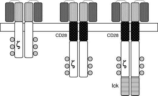 Figure 6. Chimeric antigen receptors. The external domain in the upper portion of the figure is composed of a single chain monoclonal antibody of the desired specificity. Signaling is achieved by an internal domain (ζ) taken from the T-cell receptor. Second generation CARs are modified to include portions of other signaling molecules designed to provide costimulatory signals upon engagement of the CAR by the target antigen. CD28 is a costimulatory molecule expressed on T-cells and lck is a protein kinase associated with the T-cell receptor. Reprinted from Rossig and Brenner106 with permission.