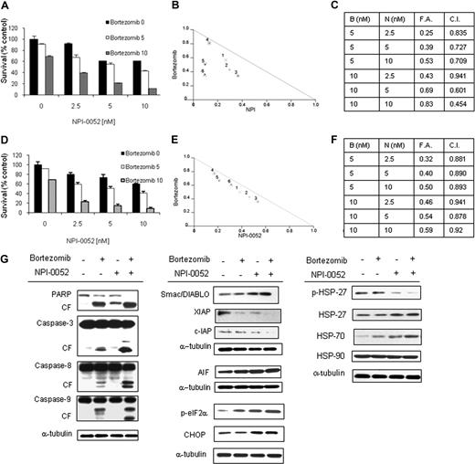 Figure 2. NPI-0052–induced cytotoxicity is enhanced in combination with bortezomib. (A) BCWM.1 cells were cultured with NPI-0052 (2.5, 5, and 10 nM) for 48 hours, in the presence or absence of bortezomib (5 and 10 nM). Cytotoxicity was assessed by MTT assay. (B) Representative isobologram of NPI-0052 associated to bortezomib with the CalcuSyn software demonstrating synergy for the combination. (C) Combination indexes (CIs) and fractions affected (FAs) of the combinations of NPI-0052 and bortezomib. All experiments were repeated in triplicate. (D) CD19+ primary WM cells were cultured with NPI-0052 (2.5, 5, and 10 nM) for 48 hours, in the presence or absence of bortezomib (5 and 10 nM). Cytotoxicity was assessed by MTT assay. (E) Representative isobologram of NPI-0052 associated to bortezomib with the CalcuSyn software demonstrating synergy for the combination. (F) Combination indexes (CIs) and fractions affected (FAs) of the combinations of NPI-0052 and bortezomib. All experiments were repeated in triplicate. (G) BCWM.1 cells were cultured with NPI-0052 (10 nM) in the presence or absence of bortezomib (10 nM) for 12 hours. Whole cell lysates were subjected to Western blotting using anti–caspase-8, –caspase-9, –caspase-3, -PARP, -Smac/DIABLO, -cIAP1, -XIAP, -survivin, -AIF, –p-eIF2α, -CHOP, –p-HSP27, -HSP27, -HSP70, -HSP90 and –α-tubulin antibodies.