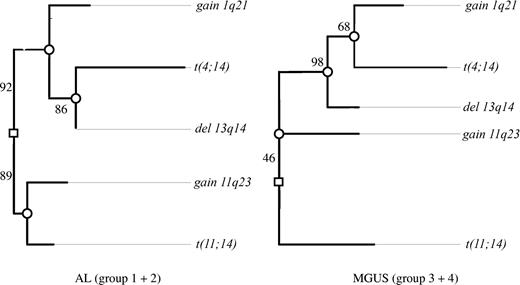 Figure 1. Clustering of chromosomal aberrations in the oncogenetic tree model. Maximum likelihood tree models for the AL group (groups 1 and 2) and MGUS group (groups 3 and 4) based on the CAs observed in 210 of the patients. The length of each horizontal edge “e” is proportional to −log(pe) (eg, in groups 1 and 2, the distance of deletion 13q14 to the next inner node is 0, which means that this aberration has always occurred at this node and precedes the translocation t(4;14)). Bootstrap confidence values (percentage) for the inner edges are given. In groups 1 and 2, the translocation t(11;14) was often observed together with gain of 11q23 (88.6%) in contrast to only 16% in groups 3 and 4. Also, in 46.4% of bootstrap samples, t(11;14) was individually separated from the other 4 aberrations in groups 3 and 4.