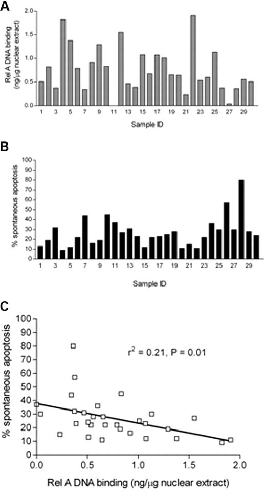 Figure 3. Quantitative analysis of rel A DNA binding in CLL B cells and its relationship to apoptosis. (A) Subunit-specific Rel A ELISA (Active Motif) assays were performed using 2 μg of nuclear extracts derived from 30 freshly isolated ex vivo CLL samples. Absorbance was measured at 450 nm. Results were compared with a standard curve generated using recombinant protein that allowed the calculation of the amount of p65 present in CLL cells expressed relative to total nuclear protein from CLL patient samples. (B) Parallel experiments were performed in which aliquots of CLL B cells derived from the same 30 CLL patients were set up in in vitro culture for 48 hours, and spontaneous apoptosis was then measured using annexin V and PI staining. FACS plots were analyzed using Summit 4.3 software (Dako). Percentage apoptosis was defined as the total annexin V+ cells (PI+ and PI−) after 48 hours in culture. (C) The level of apoptosis showed a significant negative correlation with nuclear Rel A DNA binding activity in the nucleus of freshly isolated CLL cells.