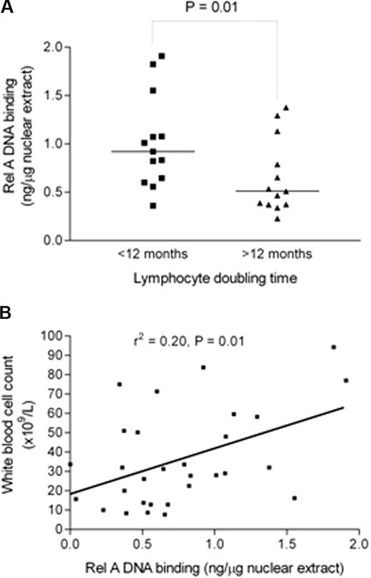 Figure 4. Rel A DNA binding is higher in samples from patients with shorter lymphocyte doubling time and positively correlates with total white cell count. (A) Rel A levels were measured by DNA binding ELISA (Active Motif) and were compared in patients with a lymphocyte doubling time above or below 12 months. Patients with lymphocyte doubling time of less than 12 months show a significantly higher level of Rel A (P < .01). (B) There was a significant positive correlation between Rel A DNA binding activity in cells from patients and their total white cell count (r2 = 0.2, P = .01).