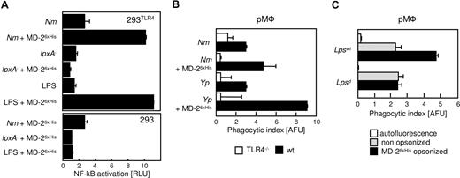 Figure 5. The prophagocytic effect of MD-2 is mediated by TLR4. (A) 293 cells expressing TLR4 and a NF-κB-luciferase reporter plasmid were stimulated with live Nm (MC58) or with Nm lpxA− that had been treated as indicated (y-axis). Luciferase readings were normalized by the activity of unstimulated cells (RLU = 1). Shown are the averages of duplicate points plus the range. LPS served as control. A similar experiment was performed with 293 cells (bottom panel). (B) pMφ from TLR4−/− (□) or wild-type (■) mice were infected with GFP-Nm or YFP-Yp that were processed for the phagocytosis assay as in Figure 4A. Note that MD-2 coating exerts no effect on TLR4−/− cells. (C) pMφ from the BALB/C (Lpswt) and C3H/HeJ (Lpsd) mice were infected with nonopsonized (▩) or MD-26xHis–coated YFP-Yp and subjected to fluorescent opsonophagocytosis assay as in panel B. These experiments were repeated at least 3 times with similar results. Data are averages of triplicates plus SD.