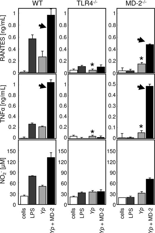 Figure 6. MD-2 opsonization enhances cytokine and nitrite production. pMφ from wild-type (left column), TLR4 (middle column), and MD-2 mice (right column) were left untreated (□) or treated with LPS (■), live Yp (), or MD-2–coated Yp (). RANTES, TNF-α, and nitrite concentrations were determined from the same supernatants by ELISA. The arrowheads indicate the restoration of the “wild-type” phenotype in MD-2−/− cells, when MD-2 is provided on the surface of bacteria. *In the absence of MD-2 treatment, MD-2–deficient pMφ resemble the TLR4 knockout phenotype. Results are the average of triplicate readings plus SD, and the experiment is representative of 3.