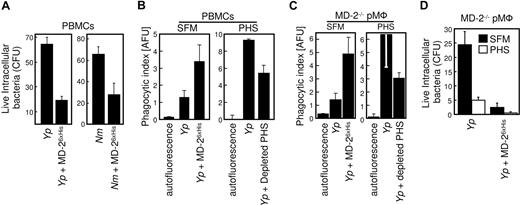 Figure 7. MD-2 opsonization enhances phagocytosis and intracellular killing. (A) Human PBMCs were incubated for 30 minutes with Yp and Nm that were left untreated or were opsonized with MD-26xHis. Extracellular bacteria were killed by gentamicin treatment, and cells were chased for 6 additional hours in DMEM. Viability of internalized bacteria was assessed by colony count (CFU) and plotted as the average of duplicate determinations plus the range. Similar results were obtained with PBMCs from 2 other unrelated donors. (B) Adherent PBMCs were infected with either untreated or MD-26xHis–opsonized YFP-Yp in the absence (SFM) or presence of 30% PHS. Samples were processed and plotted as in Figure 4A. Note the scale difference between the 2 panels. (C) pMφ from the MD-2−/− mouse were treated as in panel A. (D) pMφ from the MD-2−/− mouse were infected with untreated or MD-26xHis–opsonized Yp in the presence (□) or absence (■) of PHS. Colony count and plotting of live phagocytosed bacteria was performed as in Figure 7A. These experiments were repeated at least 3 times with similar results. Data are averages of triplicates plus SD.