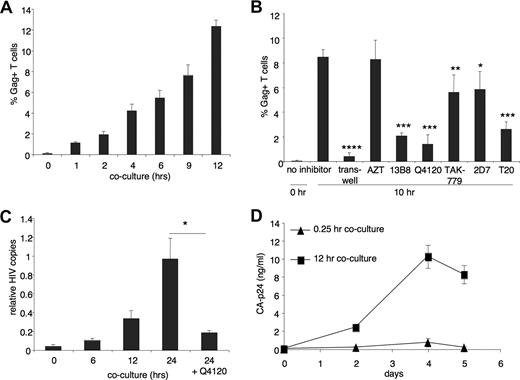 Figure 2. HIV-1 transmission to CD4+ T cells is receptor and fusion dependent, and results in productive infection. (A) HIV-1–infected MDMs were cocultured with autologous CD4+ T cells for 1 to 12 hours, followed by harvesting of the T cells with cold 5 mM EDTA/PBS. Cells were subsequently stained for CD3 and intracellular CA-p24 and analyzed by FC to determine the percentage of HIV-1–positive T cells. Data shown represent means of 3 independent experiments, and error bars represent SEM. (B) HIV-1–infected MDMs were cocultured with CD4+ T cells that had been preincubated with several inhibitors (1 hour, 37°C), followed by harvesting of the T cells after 10 hours, and staining for FC as in panel A. Alternatively, T cells were not added to MDMs directly, but were separated by a transwell (0.3-μm pore size; Costar, Cambridge, MA) to prevent cell-cell contact. Data represent the mean of triplicates in a single experiment and error bars represent + 1 SD. *P < .02; **P < .03; ***P < .001; ****P < .001, ANOVA. (C) Detection of HIV-1 reverse transcription using qPCR. HIV-1–infected MDMs were cocultured with autologous CD4+ T cells for 0, 6, 12, and 24 hours, followed by gentle aspiration of the T cells with warm RPMI, lysis, and DNA isolation and purification. qPCR using HIV-1 pol primers was performed to measure de novo viral DNA synthesis. Data were normalized to human β-globin. Data represent the mean of triplicates in a single experiment and error bars represent + 1 SD and *P < .02, ANOVA. (D) Replication of HIV-1 after transmission. CD4+ T cells were collected from 12-hour cocultures with HIV-1–infected MDMs, depleted of all MDMs with CD14 beads (Miltenyi-Biotec), and cultured for an additional week (105/well/250 μL). Viral replication was detected by p24 released into the supernatant by ELISA. Data represent the mean of quadruplicates in a single experiment and error bars represent + 1 SD.