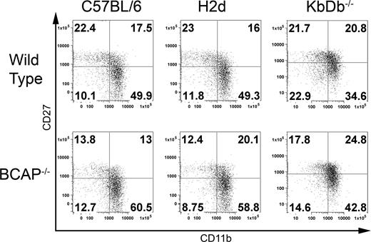 Figure 4. Effects of self-ligand on maturation. Fresh splenocytes were stained with anti-CD3ϵ, anti-NK1.1, anti-CD27, and anti-CD11b. Propidium iodide was added to exclude dead cells. NK cells are gated as NK1.1+CD3− and divided into subpopulations according to the expression levels of CD27 and CD11b as in Figure 3C. Surface phenotype of wild-type and BCAP−/− NK cells from C57BL/6, H2d congenic, and KbDb−/− backgrounds are shown. All of the data are representative of at least 3 mice. Numbers on plots are the percentages of total NK cells in each quadrant.