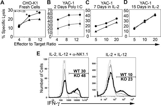 Figure 6. BCAP−/− NK cells exhibit enhanced immune functions. (A) Cytotoxicity response by freshly harvested wild-type (▴) and BCAP−/− (●) NK cells against CHO-K1 targets. Splenocytes were apportioned into wells along with target cells to achieve the stated effector (CD3−, NK1.1+) to target ratio. The data shown represent the means plus or minus SE of 3 separate experiments. In some cases, the error bars are smaller than the data point icon. P values were calculated by a 2-tailed Student t test. (B) Cytotoxicity against YAC-1 targets by freshly isolated NK cells from mice prestimulated with poly I:C. The data shown represent the means plus or minus SE of 2 separate experiments. (C,D) Cytotoxicity against YAC-1 by sorted and IL-2 cultured NK cells (1000 U/mL) for 7 days (C) or 15 days (D) The data shown represent a single experiment but are representative of at least 3 experiments that were performed under similar conditions. (E) IFN-γ response by stimulated NK cells. Splenic lymphocytes were cultured for 5 hours with or without combinations of 500 U/mL IL-2, 10 ng/mL IL-12, and plate-bound anti-NK1.1. Brefeldin A (10 μg/mL) was added after the first hour. Stimulated BCAP−/− NK cells are shown as a thick line, stimulated wild-type cells as a thin line, and the unstimulated wild-type control as a thin dashed line (< 1% IFN-γ+). Percentages of IFN-γ+ NK cells are indicated. Data are representative of at least 3 experiments.