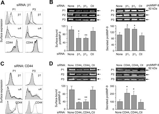Figure 2. Effect of β1 integrin subunit or CD44 gene silencing on B-CLL cell membrane-bound and secreted proMMP-9. (A) B-CLL cells were transfected with control or β1 siRNA and analyzed by flow cytometry. Shaded areas represent β1 siRNA-cells; dotted lines, control siRNA cells; and continuous lines, untransfected cells. Representative results from 2 samples of the 3 studied are shown. (B) Gelatin zymographic analysis of proMMP-9 on the membrane fraction and the conditioned media of untransfected or siRNA-transfected B-CLL cells. β11 and β12 indicate the 2 different β1 siRNAs used. Ctl indicates control siRNA. Values represent the average of the 3 samples after normalizing the proMMP-9 levels of untransfected cells to 100. (C) Flow cytometric analysis of B-CLL cells (shown for 2 samples) transfected with control or CD44 siRNA. Line codes are as in panel A. (D) Gelatin zymography of proMMP-9 on the membrane fraction and the conditioned media of untransfected or siRNA-transfected B-CLL cells. CD441 and CD442 indicate the 2 different CD44 siRNAs used. Values represent the average of all 3 patients after normalizing proMMP-9 levels in untransfected cells to 100. *P ≤ .05; **P ≤ .01.