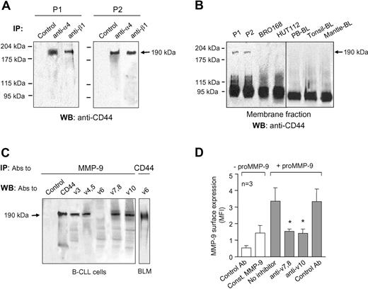 Figure 5. Characterization of CD44 isoforms on CLL and non-CLL B cells. (A) Lysates from 2 × 107 B-CLL cells that had been in RPMI/0.1% FCS for 24 hours were immunoprecipitated with the indicated Abs (control: anti-HLA) and analyzed by Western blotting. (B) The membrane fraction from the same B-CLL samples shown in panel A and from the indicated B cells was analyzed by Western blotting using anti-CD44 Abs. The presence of the 190-kDa CD44v isoform on B-CLL cells is indicated. A vertical line has been inserted to indicate a composition of 2 different gels. (C) The cell lysate from a representative B-CLL sample was immunoprecipitated with anti–MMP-9 Abs and analyzed by Western blotting using Abs specific for CD44 variable exons. Lysates from BLM cells were used as control for the anti-v6 mAb. (D) B-CLL cells were incubated with or without proMMP-9 in the presence or absence of the indicated Abs, and binding was analyzed by flow cytometry. Average values are shown. Const MMP-9 indicates constitutive MMP-9. *P ≤ .05.