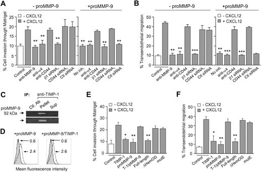 Figure 7. Functional effect of proMMP-9 binding on B-CLL cell migration through Matrigel and HUVECs. B-CLL cells (5 × 105), treated or not with the indicated Abs or transfected with the indicated siRNAs, were incubated for 30 minutes with or without 10 μg/mL proMMP-9. Cells were added to the upper chamber of Transwell filters coated with either Matrigel (A) or TNF-α–activated HUVECs (B), and 150 ng/mL CXCL12 was added to the medium in the bottom chamber. After 24 hours, migrated cells were counted by flow cytometry. Average values (n = 3) represent the percentage of the total number of cells added. (C) proMMP-9 was incubated in solution with TIMP-1 (110 nM each) for 30 minutes and the complex immunoprecipitated with anti–TIMP-1 or anti-HLA (Ctl) mAbs and protein G beads. Immunoprecipitates and supernatants were analyzed by gelatin zymography. (D) B-CLL cells from a representative sample were incubated for 30 minutes with proMMP-9 alone or complexed to TIMP-1, and analyzed by flow cytometry using anti–MMP-9 pAbs. Numbers indicate MFI values for basal MMP-9 (shaded areas) or exogenously added proMMP-9 or proMMP-9/TIMP-1 (continuous lines). (E,F) B-CLL cells (5 × 105) were preincubated with or without the indicated proteins for 30 minutes at 4°C. Cells were washed and added to Transwell filters coated with Matrigel (E) or TNF-α–activated HUVECs (F), and migration was determined after 24 hours by flow cytometry. Average values (n = 3) are expressed as the percentage of the total number of cells added. T-1/pMMP-9 indicates TIMP-1/proMMP-9 complex. *P ≤ .05; **P ≤ .01.