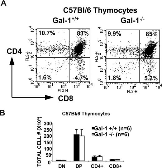 Figure 2. Thymocyte development was not perturbed in gal-1–deficient C57Bl/6 mice. (A) CD8 versus CD4 expression profiles of thymocytes from 6.2-week-old wild-type (left) and gal-1−/− (right) mice. The percentage of cells in each developmental subset is denoted in its respective quadrant. Flow profiles are representative of 6 independent mice. (B) The graph shows the mean of the absolute cell numbers (± SD) for each subpopulation, which was determined by multiplying the percentage of cells in each subset by the total number of thymocytes and averaging 6 mice per genotype.