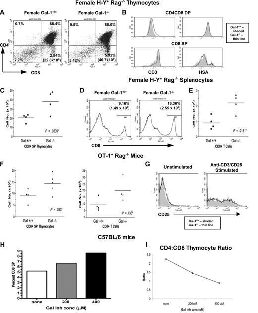 Figure 3. Gal-1 opposed partial agonist-driven positive selection of conventional CD8+ T cells. (A) CD8 versus CD4 expression profiles of thymocytes from wild-type (left) and gal-1−/− (right) female H-Y TCR transgenic mice. Percentage of cells in each subset is denoted in its respective quadrant, and the number of CD8+ SP thymocytes is in parentheses. (B) Flow cytometric histograms of CD3 (left) and HSA (right) staining of DP (top) and CD8+ SP (bottom) thymocytes from wild-type (shaded) and gal-1−/− (thin line) mice. Note change in y-axis between histograms. (C) The total number of CD8+ SP thymocytes from wild-type (n = 4) and gal-1−/− (n = 4) female H-Y TCR mice. Each point represents one mouse and was determined by multiplying the percentage of CD8+ SP thymocytes by the total number of thymocytes from each individual mouse throughout 4 independent experiments. The horizontal bar represents the mean. (D) Flow histograms of CD8 staining of splenocytes from wild-type (left) and gal-1−/− (right) female H-Y TCR mice. The numbers correspond to the percentage and total number of cells in the marker M1, which were set based on an isotype control and represent the CD8+ population. All dot plot profiles and histograms are representative of 4 independent experiments. (E) The total number of CD8+ T cells from spleens of wild-type (n = 4) and gal-1−/− (n = 4) female H-Y TCR mice. Each point represents one mouse, and the total number of CD8+ T cells was determined as described in panel C over the course of 4 independent experiments. (F) The total number of CD8+ SP thymocytes (left) and splenic CD8+ T cells (right) from wild-type (n = 4) and gal-1−/− (n = 5 for thymus, n = 4 for spleen) OT-1 TCR transgenic mice. Each point represents one mouse and was determined as described in panel C over 4 independent experiments. (G) Histograms of CD25 staining of unstimulated (left) and anti-CD3/anti-CD28–stimulated (right) enriched CD8+ T cells (80%-90% purity) from wild-type (shaded) and gal-1−/− (thin line) OT-1 TCR mice. Flow profiles are representative of 2 independent experiments. (H) Percent of CD8+ SP thymocytes from C57Bl/6 fetal thymii cultured (FTOC) in the presence ( and ■) or absence (□) of gal-1 inhibitor. (I) CD4:CD8 thymocyte ratio from a single FTOC experiment treated with or without gal-1 inhibitor. FTOC results are representative of 3 independent experiments. For panels C and E, statistical significance was determined by 2-tailed paired Student t tests. For panel F, one-tailed unpaired Student t tests were performed for OT-1 studies because these experiments were done to corroborate the female H-Y studies in which a hypothesis was previously established. P values are listed in panels.