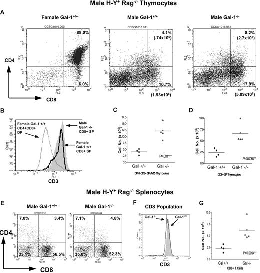 Figure 4. Gal-1 promoted agonist-driven negative selection of CD8+ T cells in male H-Y TCR transgenic mice. (A) CD8 versus CD4 expression profiles of thymocytes from wild-type (middle) and gal-1−/− (right) male H-Y TCR transgenic mice and a wild-type female H-Y mouse (left) processed in parallel. The percentage and total number of thymocytes are shown in the boxed region and represent the DP and CD8+ SP populations. (B) Flow cytometric histograms of CD3 staining of DP (thin line) and CD8+ SP (thick line) thymocytes from a control wild-type female H-Y mouse and CD8+ SP thymocytes from a gal-1−/− male H-Y mouse (shaded). (C, D) The total number of DP/CD8+ SP (C) and CD8+ SP (D) thymocytes from wild-type (n = 4) and gal-1−/− (n = 5) male H-Y TCR mice. These populations were determined by setting quadrants based on a wild-type female H-Y TCR control (Figure 4A). Each point represents one mouse, and total cell number was determined as described in Figure 3C over the course of 4 independent experiments. The horizontal bar represents the mean. (E) CD8 versus CD4 expression profiles of splenic cells from wild-type (left) and gal-1−/− (right) male H-Y TCR mice. The percentage of cells in each subset is shown in its respective quadrant. (F) Flow histogram of CD3 staining of CD8+ T cells from wild-type (shaded) and gal-1−/− (thin line) mice. (G) The total number of CD8+ T cells from spleens of wild-type (n = 4) and gal-1−/− (n = 5) male H-Y TCR mice. The total number of CD8+ T cells was determined as described in Figure 3, and each point represents one mouse over the course of 4 independent experiments. All flow profiles are representative of 4 independent experiments. For panels C, D, and G, 2-tailed unpaired Student t tests were performed to determine statistical significance. P values are listed in the panels.