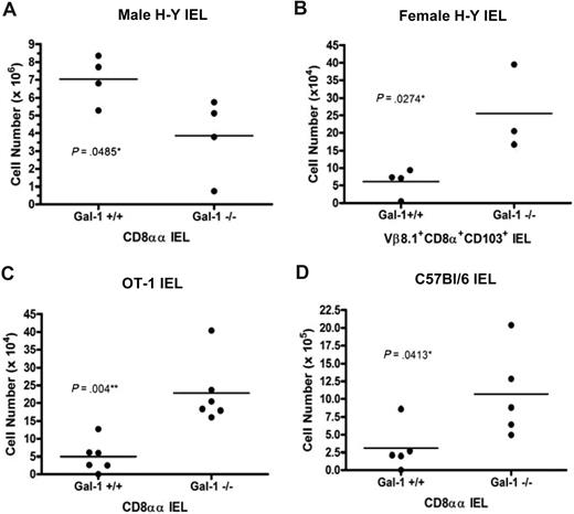 Figure 5. Gal-1 promoted agonist-driven positive selection of CD8αα IEL. (A,C,D) The total number of CD8αα (CD8α+CD8ββCD103+) IELs from wild-type (n = 4) and gal-1−/− (n = 4) male H-Y TCR transgenic mice (A); wild-type (n = 6) and gal-1−/− (n = 6) OT-1 TCR transgenic mice (C); and wild-type (n = 5) and gal-1−/− (n = 5) C57Bl/6 mice (D). (B) The total number of TCR transgenic positive CD8α+CD103+ IELs from wild-type (n = 4) and gal-1−/− (n = 3) female H-Y TCR transgenic mice. More than 75% of CD8α+CD103+ IEL were CD8β−. Each point represents one mouse and was determined by multiplying the percentage of H-Y positive CD8αα, OT-1 positive CD8αα, or C57Bl/6 CD8αα lymphocytes by the total number of isolated IELs for each individual mouse. The horizontal bar represents the mean. For panel A, statistical significance was determined by 2-tailed paired Student t tests. For panels B through D, statistical significance was determined by 2-tailed unpaired Student t tests. P values are listed in the panels.