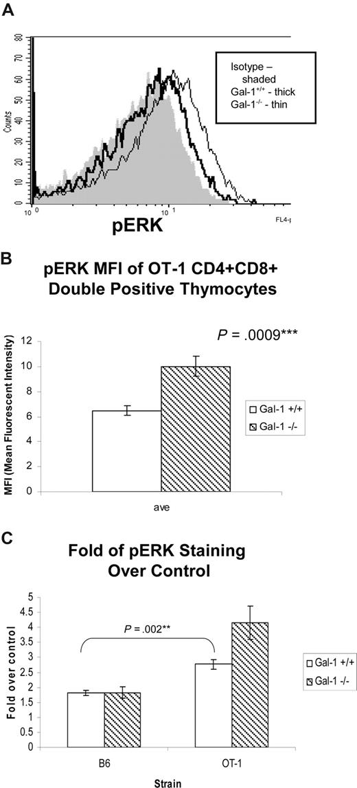 Figure 7. Gal-1 antagonized ERK signaling in thymocytes undergoing positive selection. (A) Histogram of phospho-ERK (pERK) staining in DP thymocytes from wild-type (thick line) and gal-1−/− (thin line) OT-1 mice, and isotype control (shaded). Cells were immediately fixed and permeabilized after dissociation from thymic stroma to preserve positive selecting signals induced in vivo. (B) The average MFI (± SD) of pERK in DP thymocytes from 3 wild-type (□) and 4 gal-1−/− (▧) OT-1 TCR mice. Results represent 2 independent experiments. (C) The average of fold over control (± SD) of pERK staining in wild-type (□) and gal-1−/− (▧) DP thymocytes from C57Bl/6 (wild-type, n = 4; gal-1−/−, n = 4) and OT-1 TCR transgenic mice (wild-type, n = 4; gal-1−/−, n = 5). For panels B and C, 2-tailed unpaired Student t tests were performed to determine statistical significance. P values are listed in the panels.