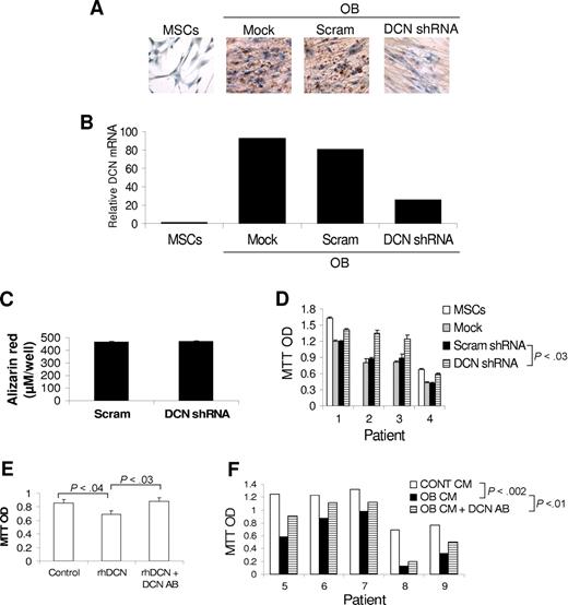 Figure 2. Blocking decorin expression or activity attenuates the inhibitory effect of osteoblasts on myeloma cell growth. (A,B) MSCs infected with lentivirus-introduced scrambled (Scram) or decorin (DCN) shRNA or left untreated (mock) were differentiated into osteoblasts. Immunohistochemical staining for decorin (panel A, brown color indicates positive staining, original magnification ×200; see “Immunohistochemistry”) and decorin expression as determined by qRT-PCR (panel B) indicate that osteoblasts produce and express high levels of decorin and that decorin expression and production are markedly reduced by specific shRNA (DCN shRNA). (C) Knockdown of decorin had no effect on the ability of MSCs to differentiate into osteoblasts as determined by Alizarin red staining. (D) Myeloma cells from 4 patients were cocultured with untreated osteoblasts (mock) or with osteoblasts infected with lentivirus-introduced scrambled (Scram) or decorin (DCN) shRNA for approximately 7 days, and then subjected to MTT assay. Note the higher myeloma cell growth rate after decorin knockdown in osteoblasts (P < .03, DCN shRNA vs Scram shRNA or mock). (E) Recombinant human decorin (rhDCN) inhibited the growth of myeloma cells in coculture with osteoclasts, an effect that was completely abrogated by decorin-neutralizing antibody (DCN AB). (F) Myeloma cells from 5 patients were cocultured with osteoclasts in the presence or absence of osteoblast-conditioned medium (OB CM) and decorin-neutralizing antibody (5 μg/mL) before being subjected to MTT assay. Osteoblast-conditioned medium inhibited myeloma cell growth (P < .002), an effect that was partially blocked by decorin-neutralizing antibody (P < .01, OB CM vs OB CM + DCN AB).