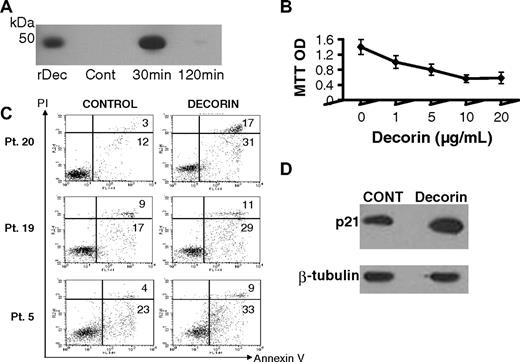Figure 3. Decorin is internalized and inhibits myeloma cell growth through up-regulation of p21WAF and induction of apoptosis. (A) Myeloma cells were exposed to decorin (30 μg/mL) for 30 minutes, washed, and then subjected to Western blotting for detection of decorin at the indicated times. The level of decorin was high after 30 minutes and then rapidly diminished by 120 minutes. Recombinant decorin (rDec) was used as a positive control. (B) Primary myeloma cells (patient 5) were cultured alone in the absence or presence of increasing doses of decorin (1-20 μg/mL) for approximately 36 hours. (C) Annexin V–PI flow cytometry of myeloma cells from 3 patients cultured in the absence or presence of decorin for 36 hours showed an increased percentage of apoptotic annexin V–positive myeloma cells after decorin treatment. (D) The level of phosphorylated p21WAF in myeloma cells was increased after 24-hour incubation with decorin (10 μg/mL).